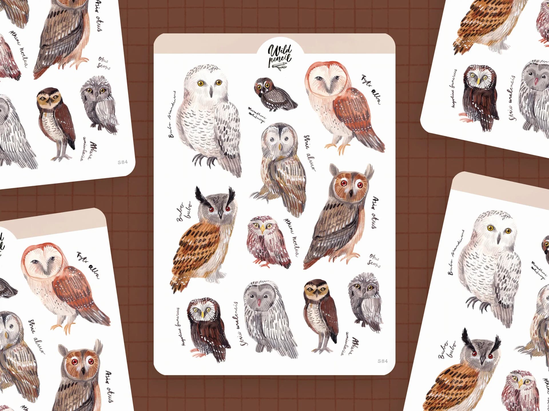 Sticker Sheet - Owls sticker